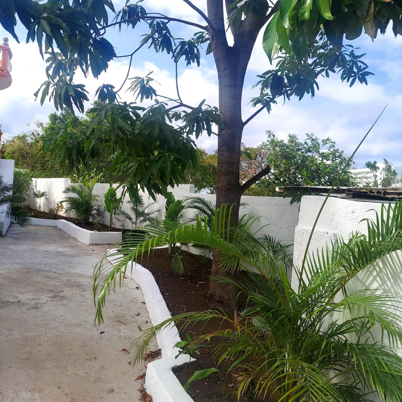 Cas Bed And Breakfast Corral Spring Εξωτερικό φωτογραφία