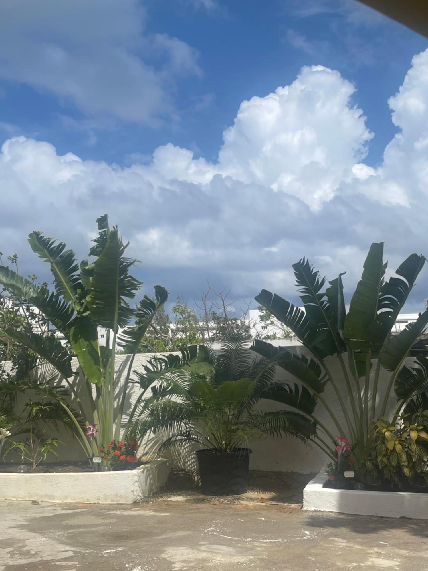 Cas Bed And Breakfast Corral Spring Εξωτερικό φωτογραφία
